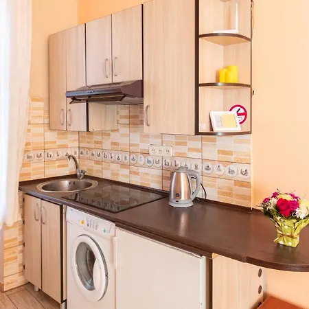 Apartment Smart House Lviv